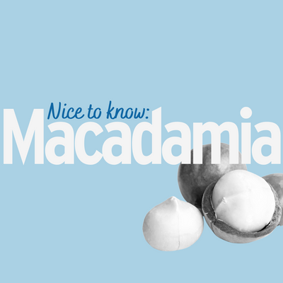Macadamia - Kann so eine Kalorienbombe überhaupt Gutes für mich tun?