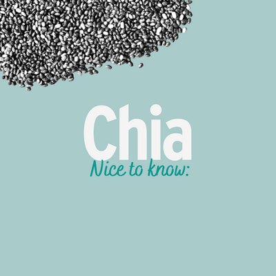 Chia – Was Du über das Azteken-Wundermittel wissen solltest