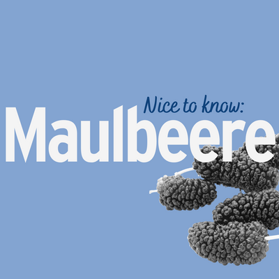 Maulbeeren - Wieso die Maulbeere zu Recht eine Renaissance erlebt