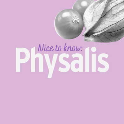 Physalis - Aus diesen Gründen solltest Du öfter zu getrockneten Physalis greifen!