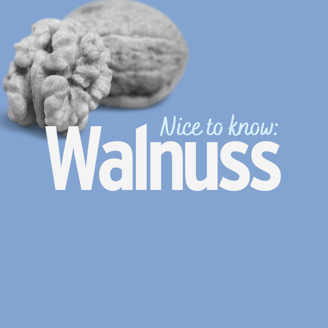 Walnüsse - darum solltest Du diese Nuss nicht unterschätzen!