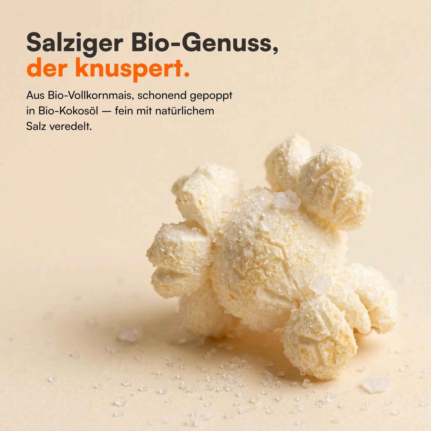 Bio Popcorn Salzig