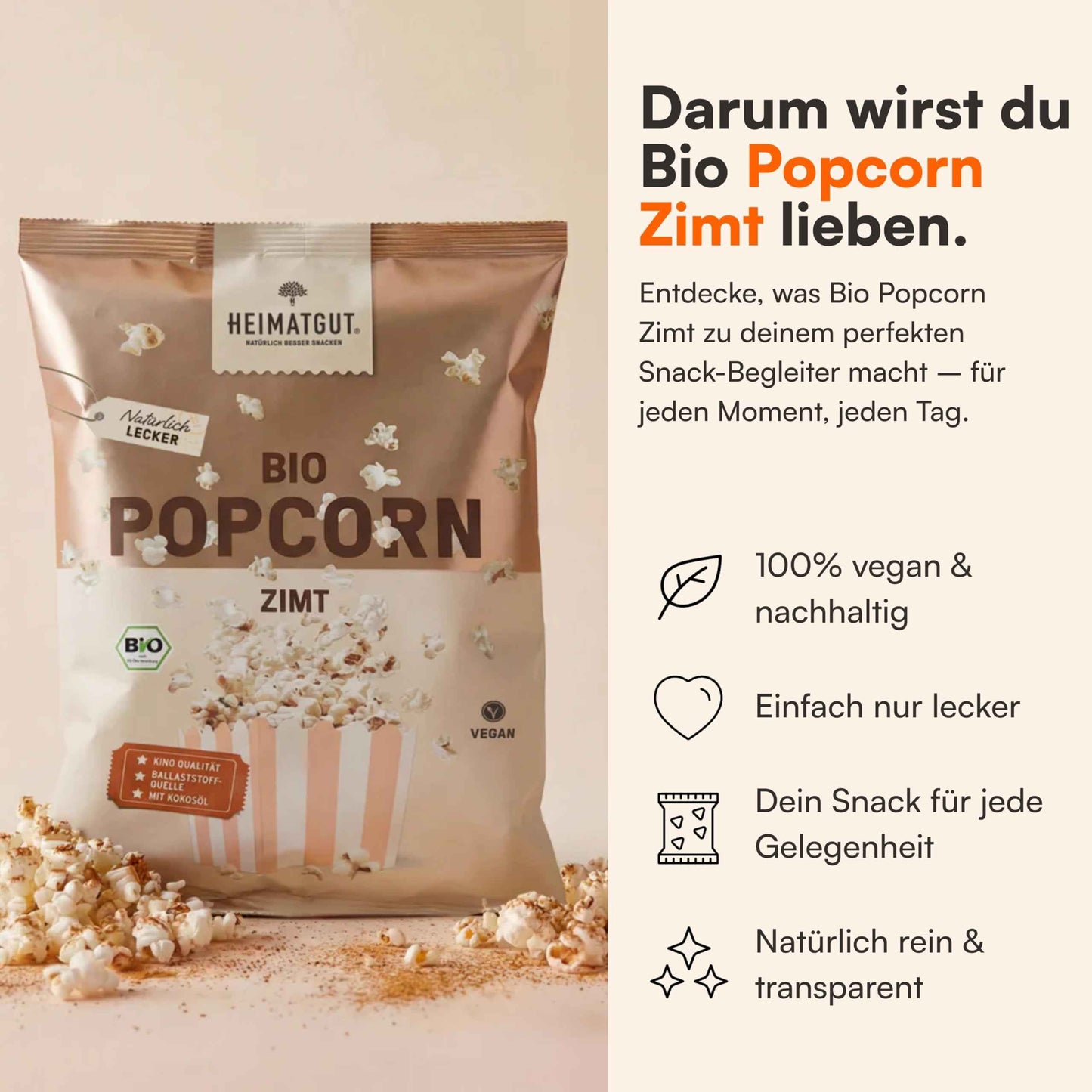 Bio Popcorn Zimt