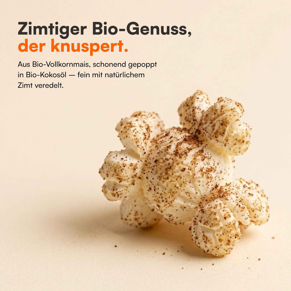 Bio Popcorn Zimt
